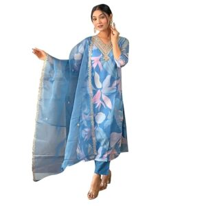 Naixa Women's Sky Organza with Cotton Lining Embroidered and Printed Straight